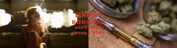 apvp Богородицк