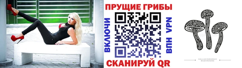 где найти   Приволжский  Галлюциногенные грибы ЛСД 