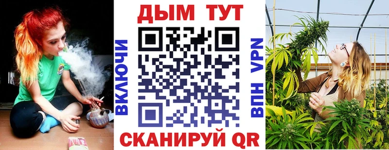 Каннабис OG Kush  Приволжский 